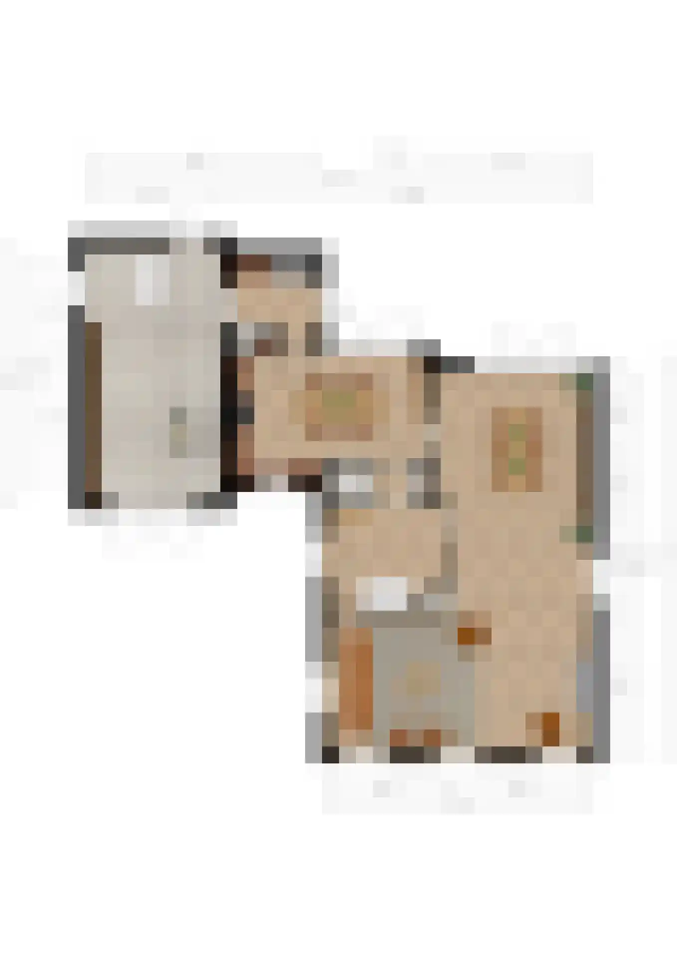 Raadhuisstraat 125 Sprang-Capelle thumbnail 46