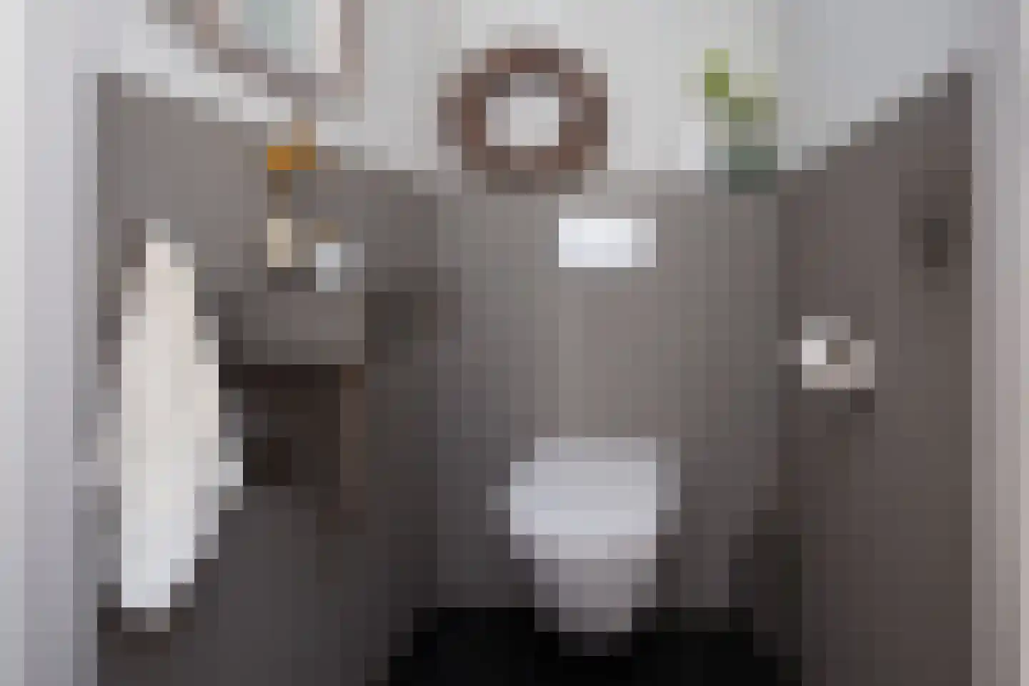 Raadhuisstraat 125 Sprang-Capelle thumbnail 7