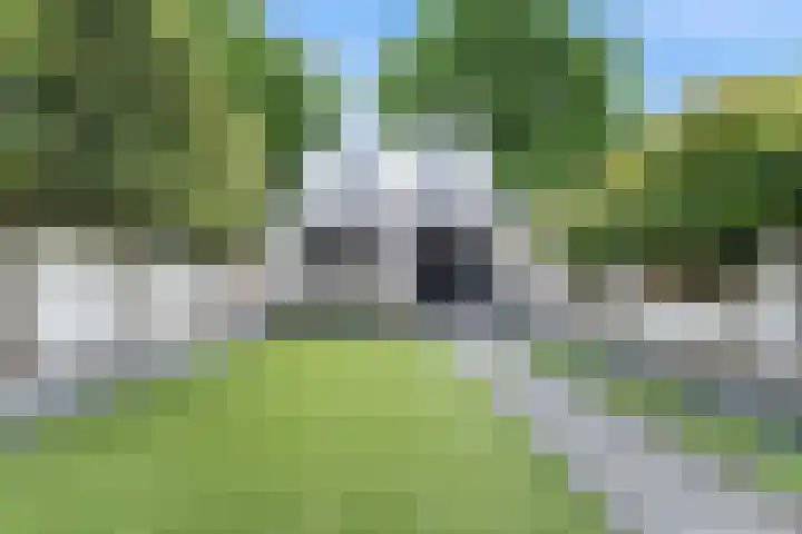 Raadhuisstraat 127 Hoogerheide thumbnail 37