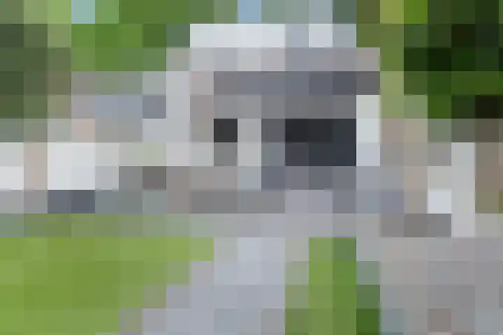 Raadhuisstraat 127 Hoogerheide thumbnail 39