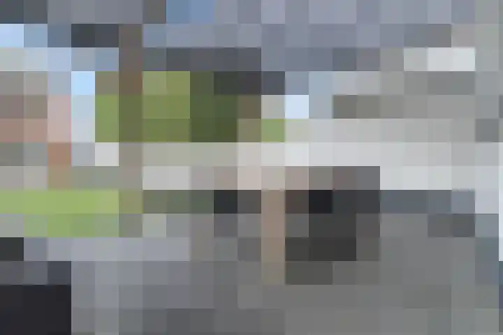 Raadhuisstraat 127 Hoogerheide thumbnail 41