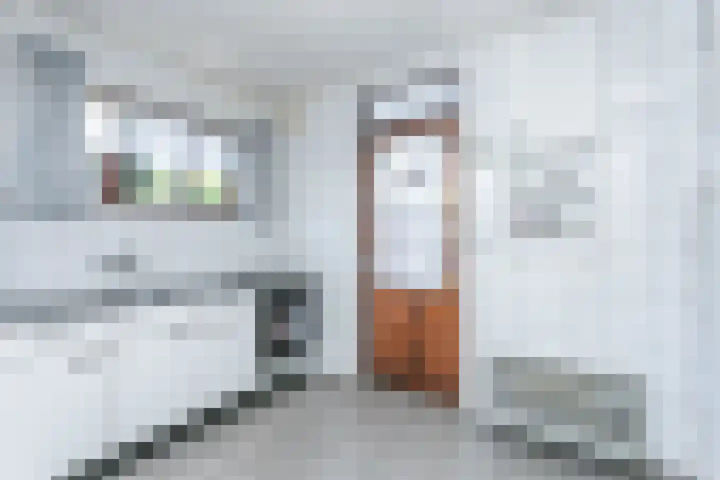 Raadhuisstraat 13 Oirsbeek thumbnail 19