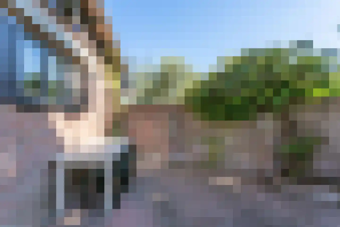 Raadhuisstraat 13 Oirsbeek thumbnail 40