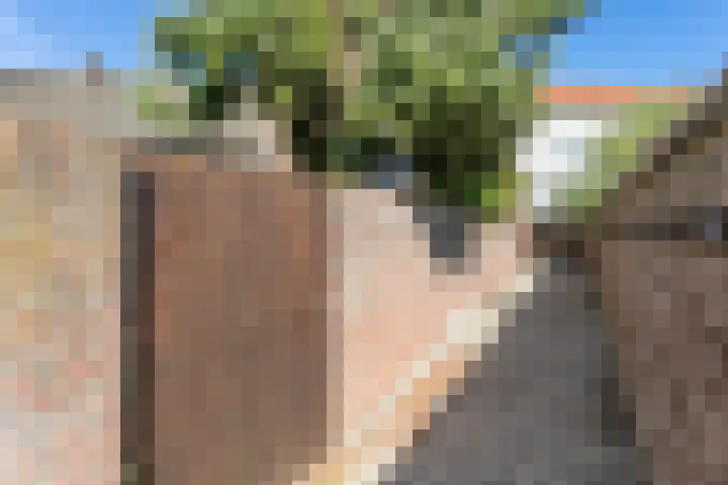 Raadhuisstraat 13 Oirsbeek thumbnail 46