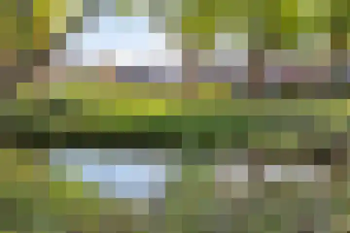 Raadhuisstraat 13 Veenendaal thumbnail 13