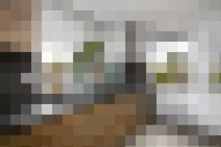 Raadhuisstraat 13 Wolvega thumbnail 11