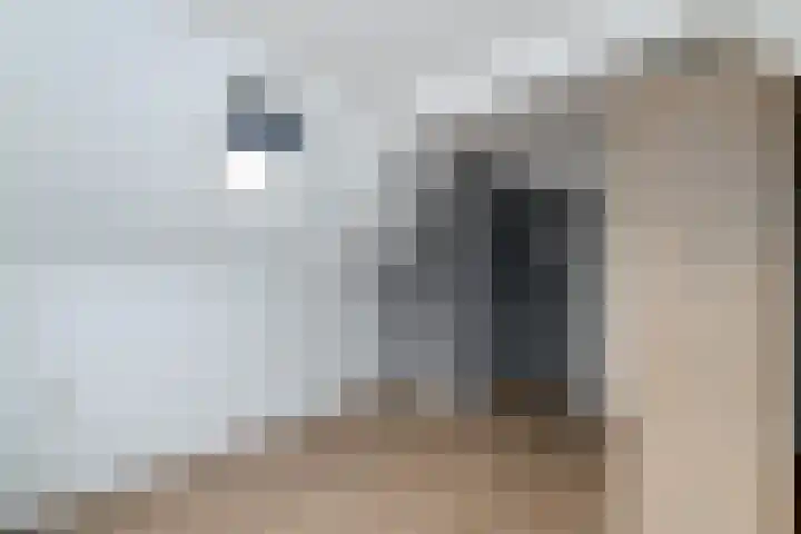 Raadhuisstraat 13 Wolvega thumbnail 22