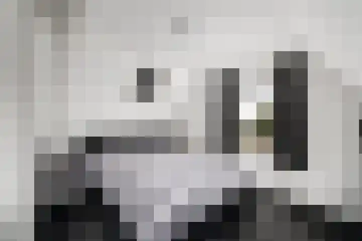 Raadhuisstraat 13 Wolvega thumbnail 25