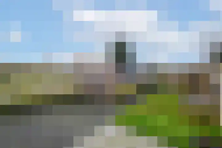 Raadhuisstraat 13 Wolvega thumbnail 30