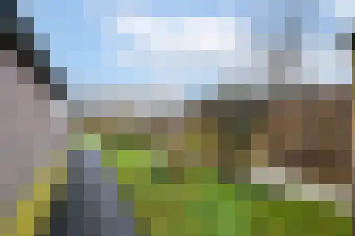 Raadhuisstraat 13 Wolvega thumbnail 32