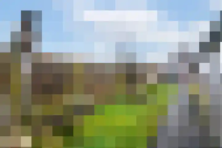 Raadhuisstraat 13 Wolvega thumbnail 33