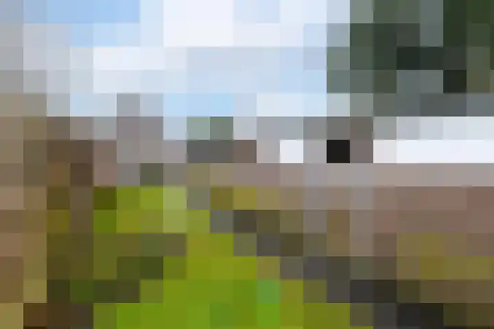 Raadhuisstraat 13 Wolvega thumbnail 34