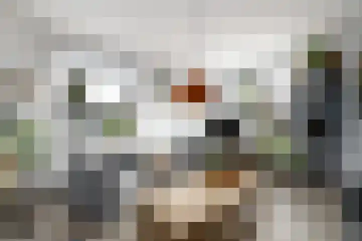Raadhuisstraat 13 Wolvega thumbnail 6