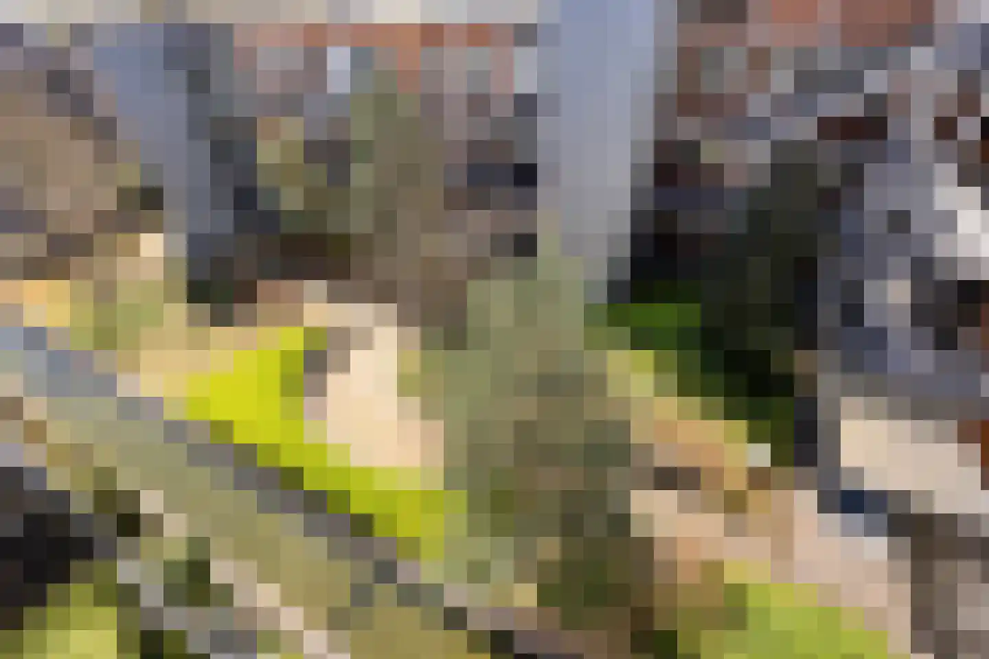 Raadhuisstraat 139 Heemskerk thumbnail 27