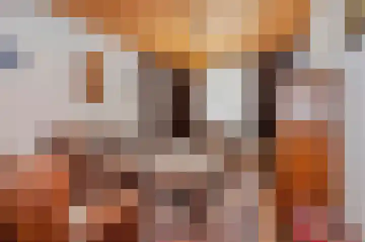 Raadhuisstraat 14 Grevenbicht thumbnail 11
