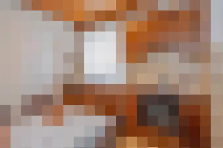 Raadhuisstraat 14 Grevenbicht thumbnail 15
