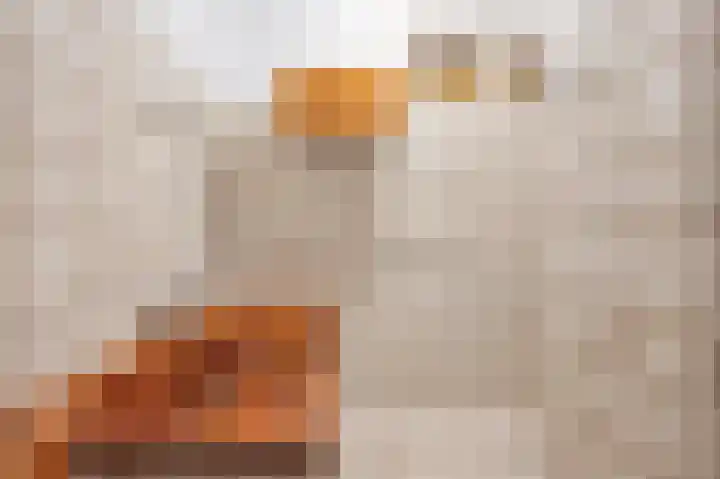 Raadhuisstraat 14 Grevenbicht thumbnail 18