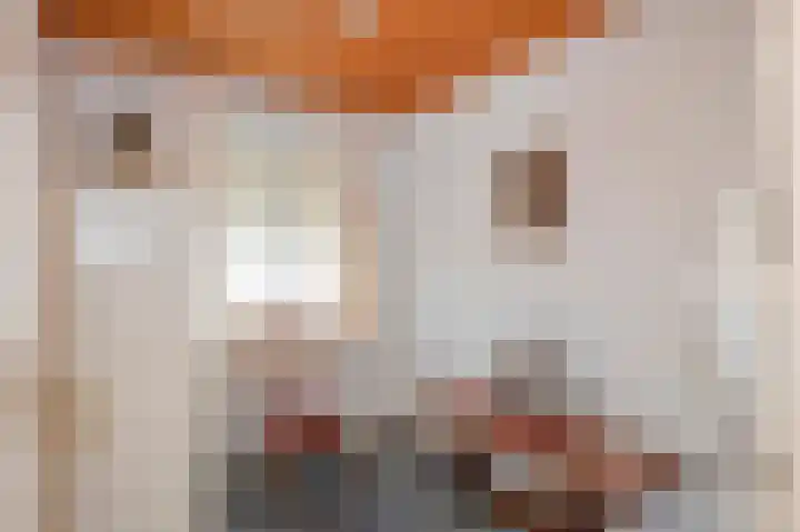 Raadhuisstraat 14 Grevenbicht thumbnail 26