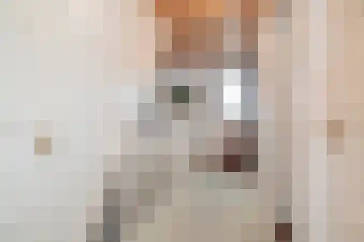 Raadhuisstraat 14 Grevenbicht thumbnail 4