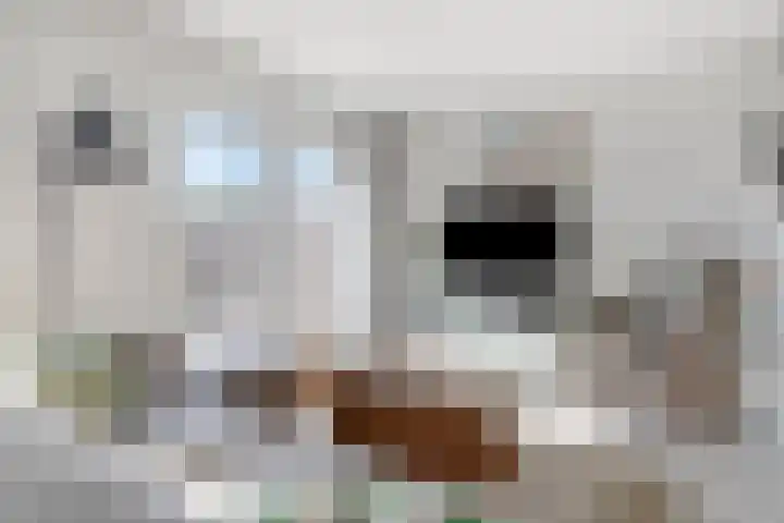 Raadhuisstraat 14 Kaatsheuvel thumbnail 6