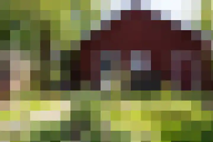 Raadhuisstraat 14 Landsmeer thumbnail 24