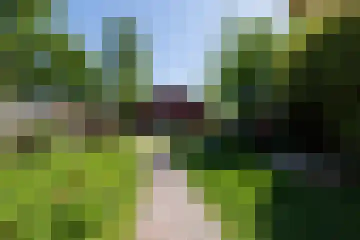 Raadhuisstraat 14 Landsmeer thumbnail 25