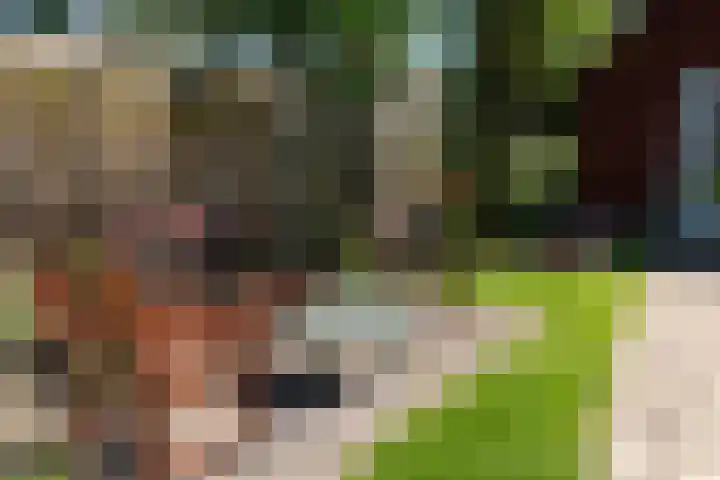 Raadhuisstraat 14 Landsmeer thumbnail 26