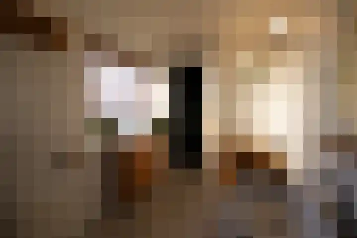 Raadhuisstraat 14 Landsmeer thumbnail 31