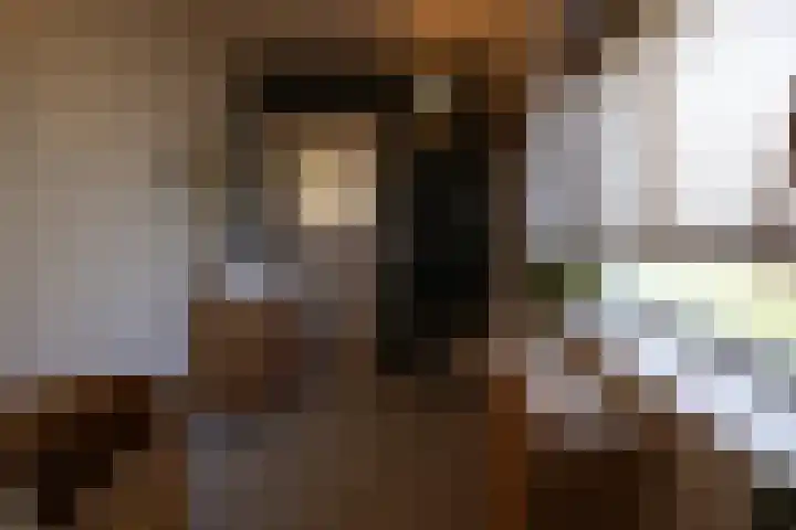 Raadhuisstraat 14 Landsmeer thumbnail 32