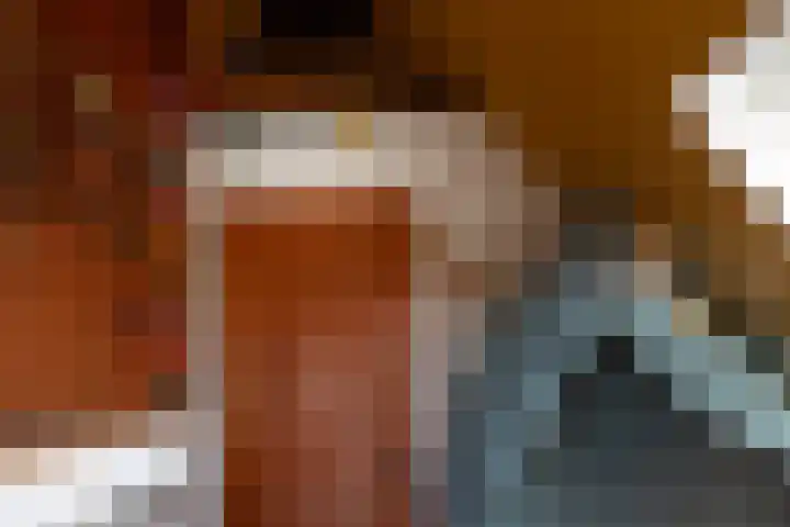 Raadhuisstraat 14 Landsmeer thumbnail 42