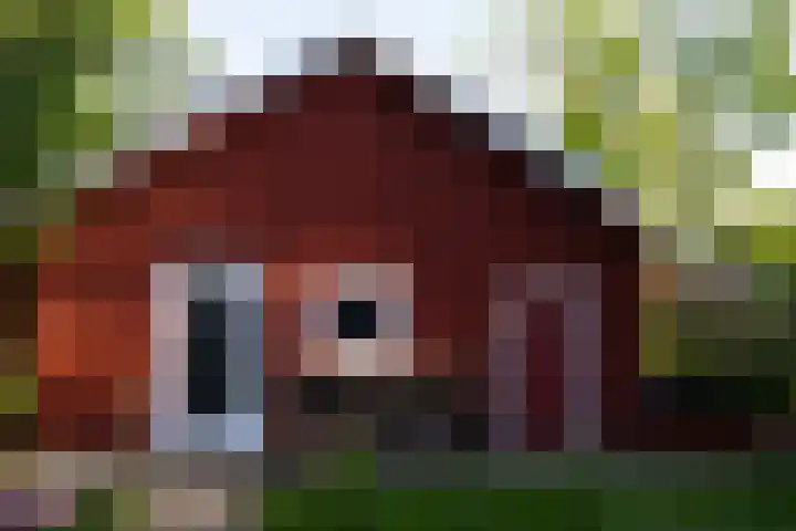 Raadhuisstraat 14 Landsmeer thumbnail 49