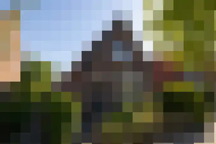 Raadhuisstraat 14 Landsmeer thumbnail 7