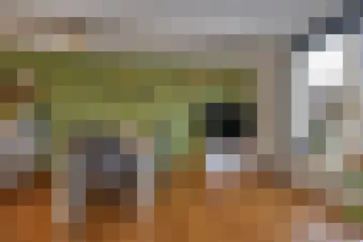 Raadhuisstraat 14 Middenbeemster thumbnail 18