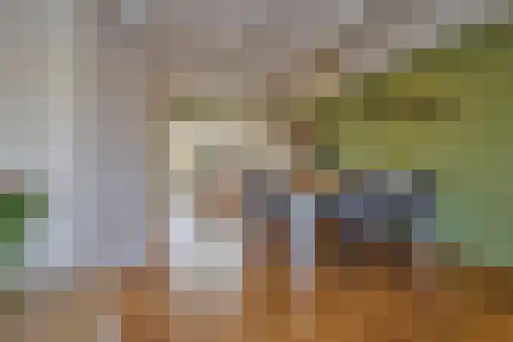 Raadhuisstraat 14 Middenbeemster thumbnail 19
