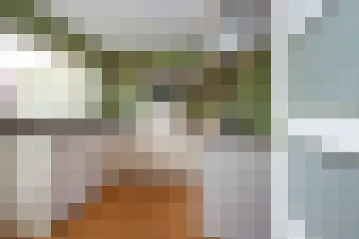Raadhuisstraat 14 Middenbeemster thumbnail 20