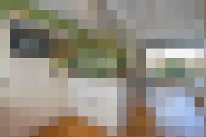 Raadhuisstraat 14 Middenbeemster thumbnail 21