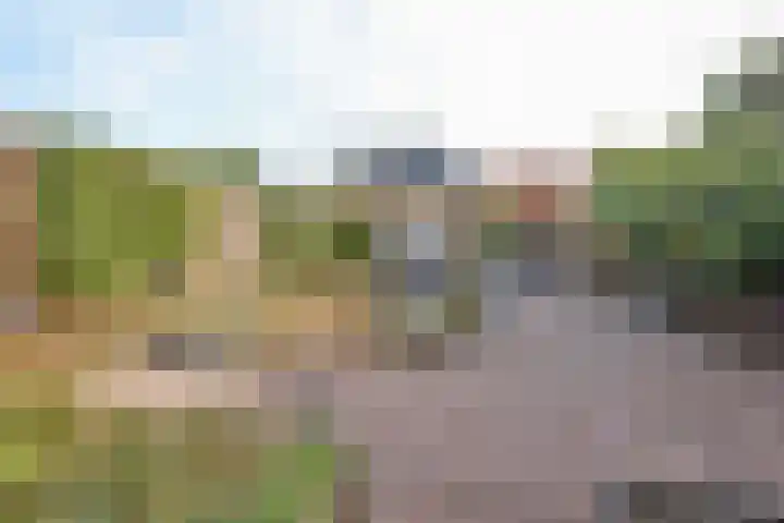 Raadhuisstraat 14 Middenbeemster thumbnail 44