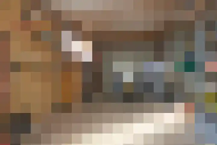 Raadhuisstraat 14 Middenbeemster thumbnail 53