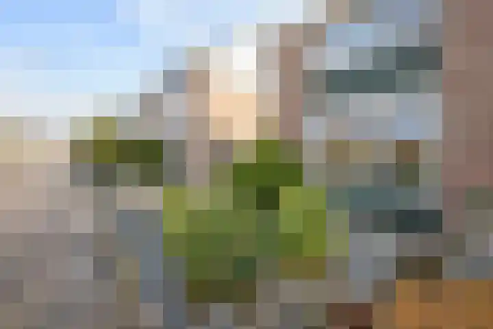 Raadhuisstraat 14 Middenbeemster thumbnail 8
