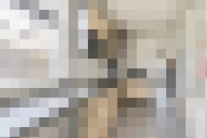 Raadhuisstraat 14 Moerkapelle thumbnail 13