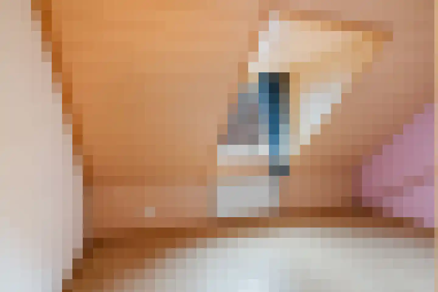 Raadhuisstraat 14 Rucphen thumbnail 24