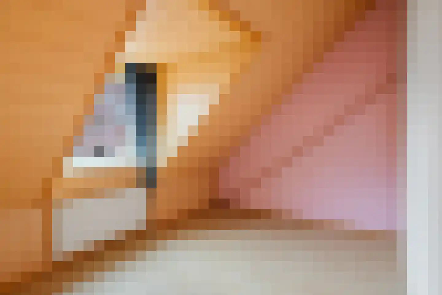 Raadhuisstraat 14 Rucphen thumbnail 25