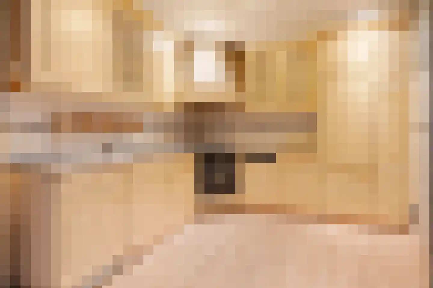 Raadhuisstraat 14 Rucphen thumbnail 4