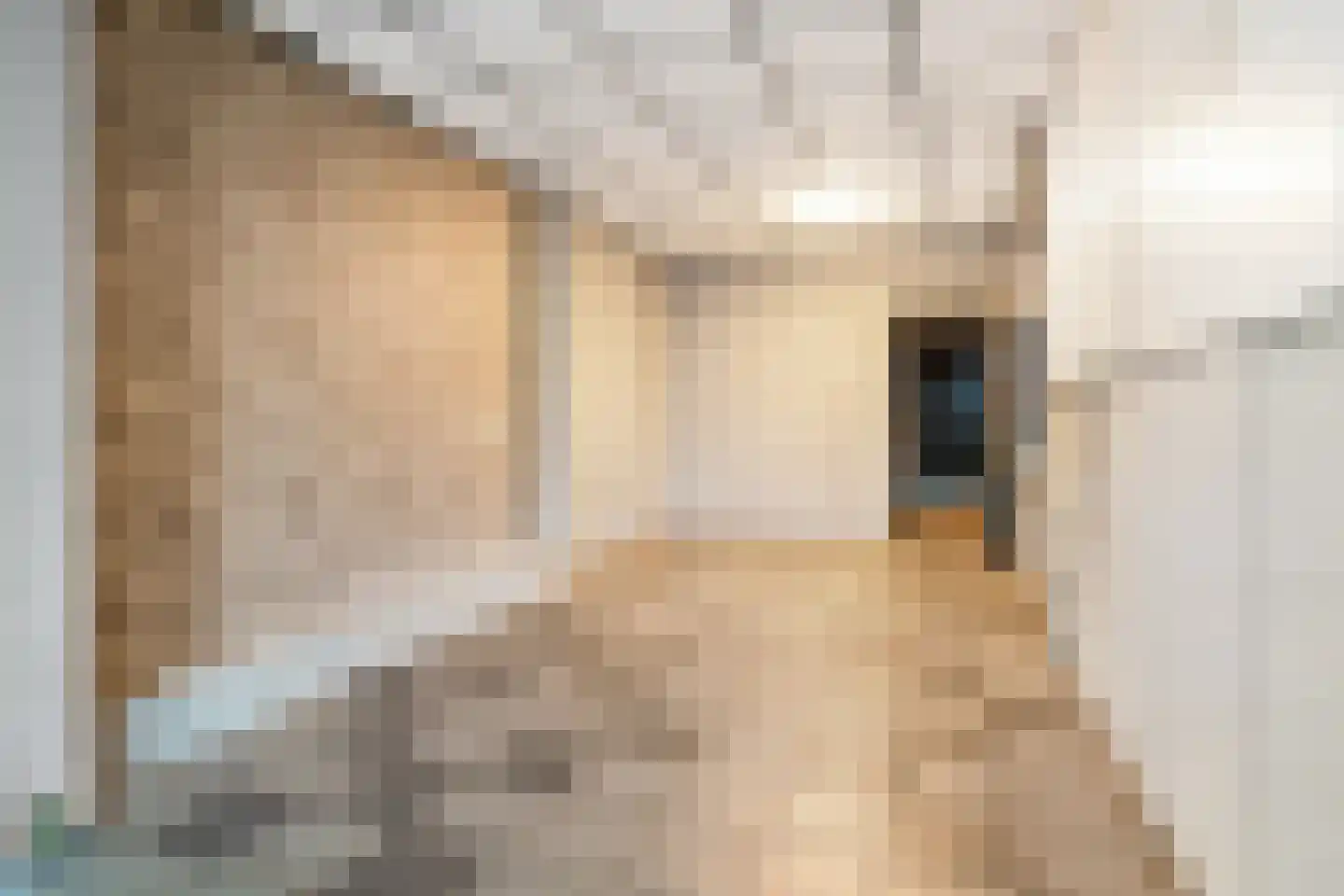 Raadhuisstraat 14 Rucphen thumbnail 41