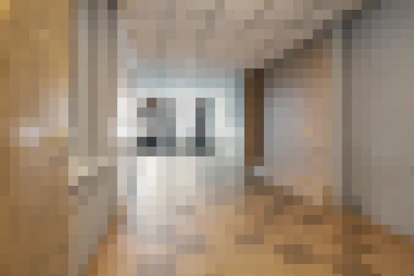 Raadhuisstraat 14 Rucphen thumbnail 42
