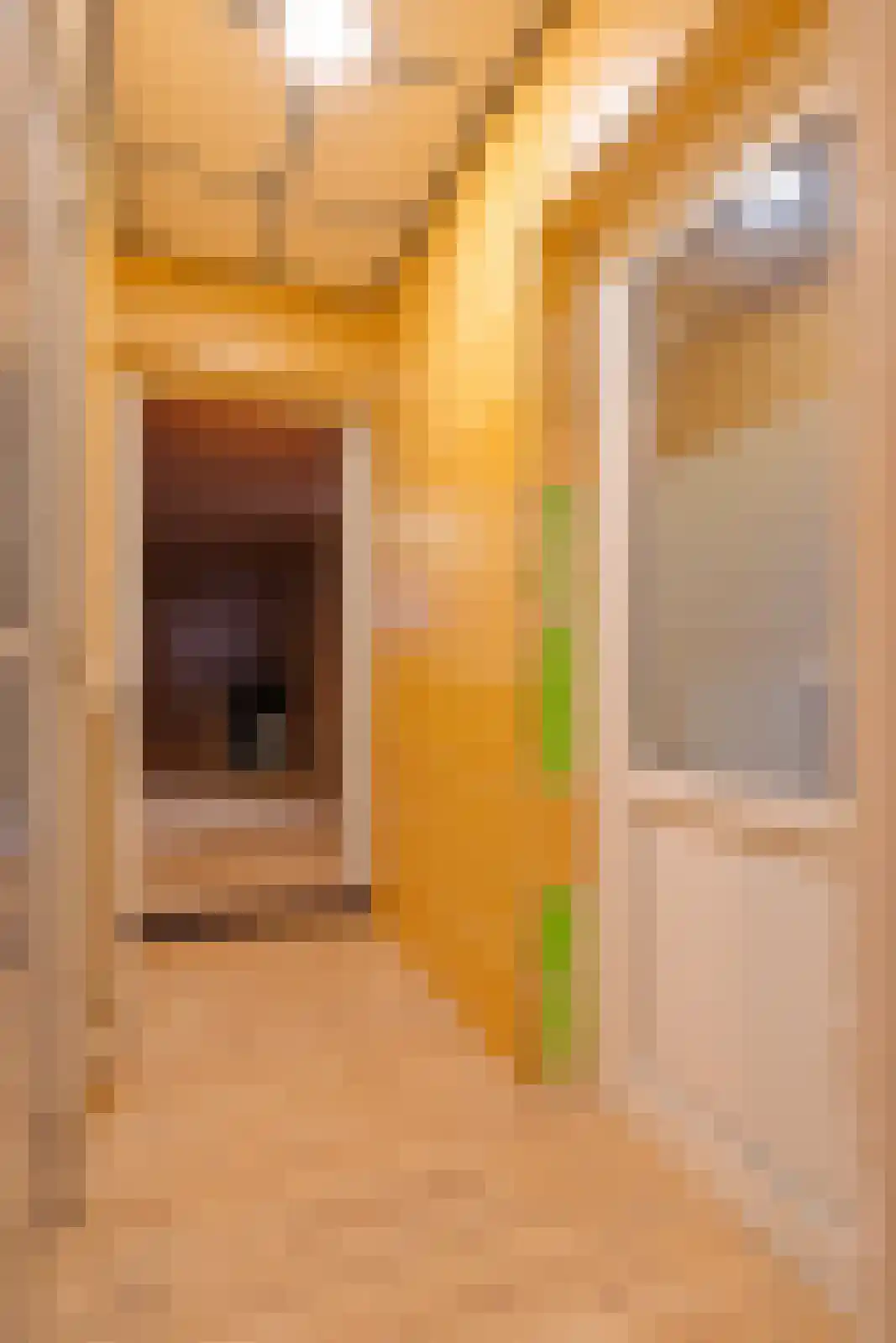 Raadhuisstraat 14 Rucphen thumbnail 43