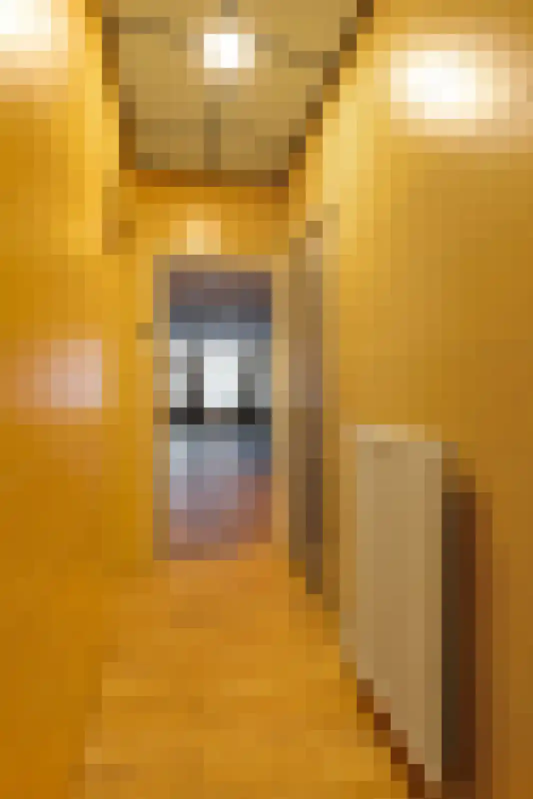 Raadhuisstraat 14 Rucphen thumbnail 44