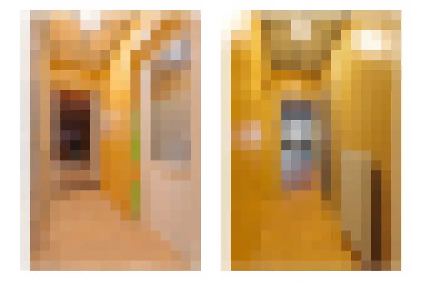 Raadhuisstraat 14 Rucphen thumbnail 45
