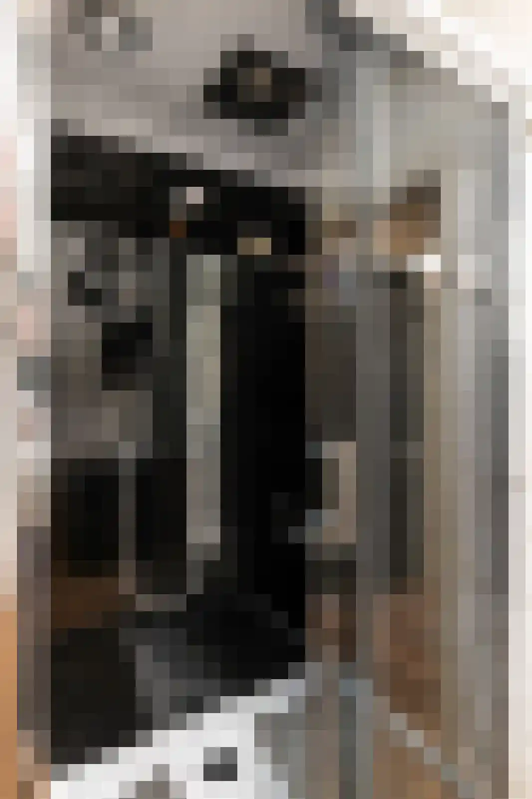 Raadhuisstraat 14 Rucphen thumbnail 47