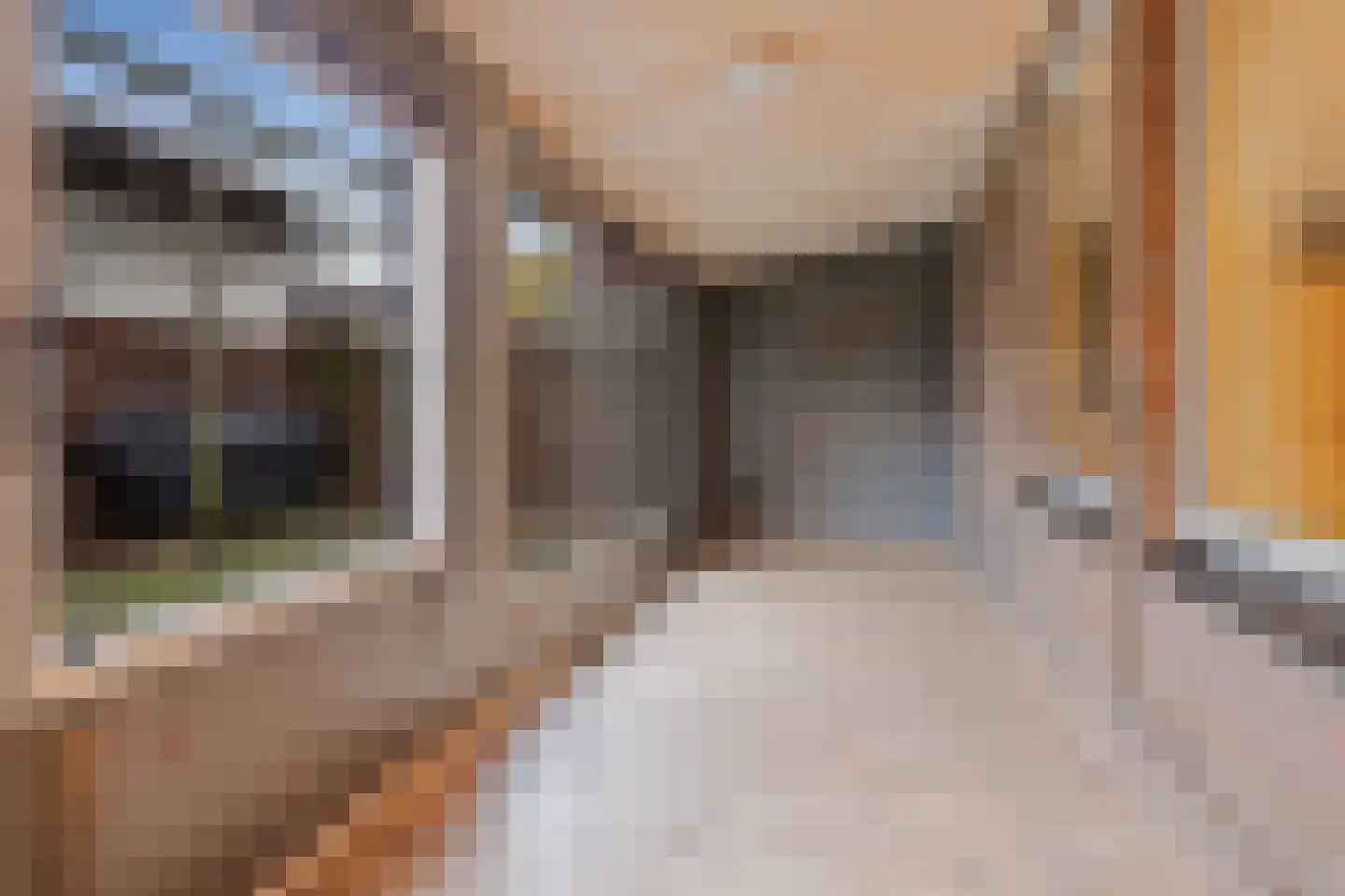 Raadhuisstraat 14 Rucphen thumbnail 48